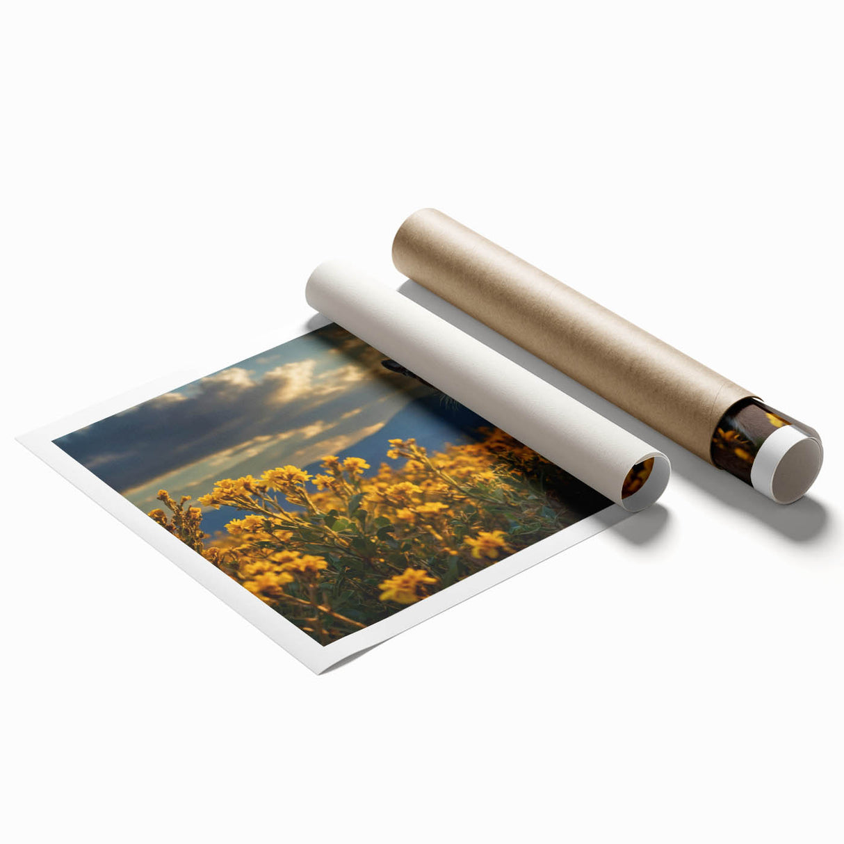 Cougar wall art print showcasing a detailed illustration of a majestic cougar in a natural setting, ideal for wildlife enthusiasts and home decor.
