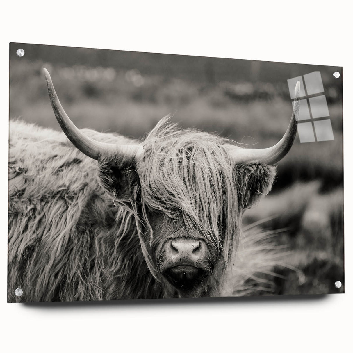 Acrylic wall art featuring a vibrant cow design, showcasing colorful patterns and textures, displayed from the side with visible metal pins for mounting.