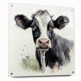 Acrylic wall art depicting a stylized cow design from a wildlife collection, showcasing vibrant colors and intricate details, displayed in a modern setting with pins for hanging.