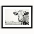 Black-framed wall art collection showcasing a cow design, featuring intricate details and a mat for added elegance. Ideal for animal lovers and rustic decor enthusiasts.
