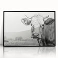 Framed wall art featuring a striking black acrylic design of a cow, showcasing intricate details and a modern aesthetic, ideal for animal lovers and home decor enthusiasts.