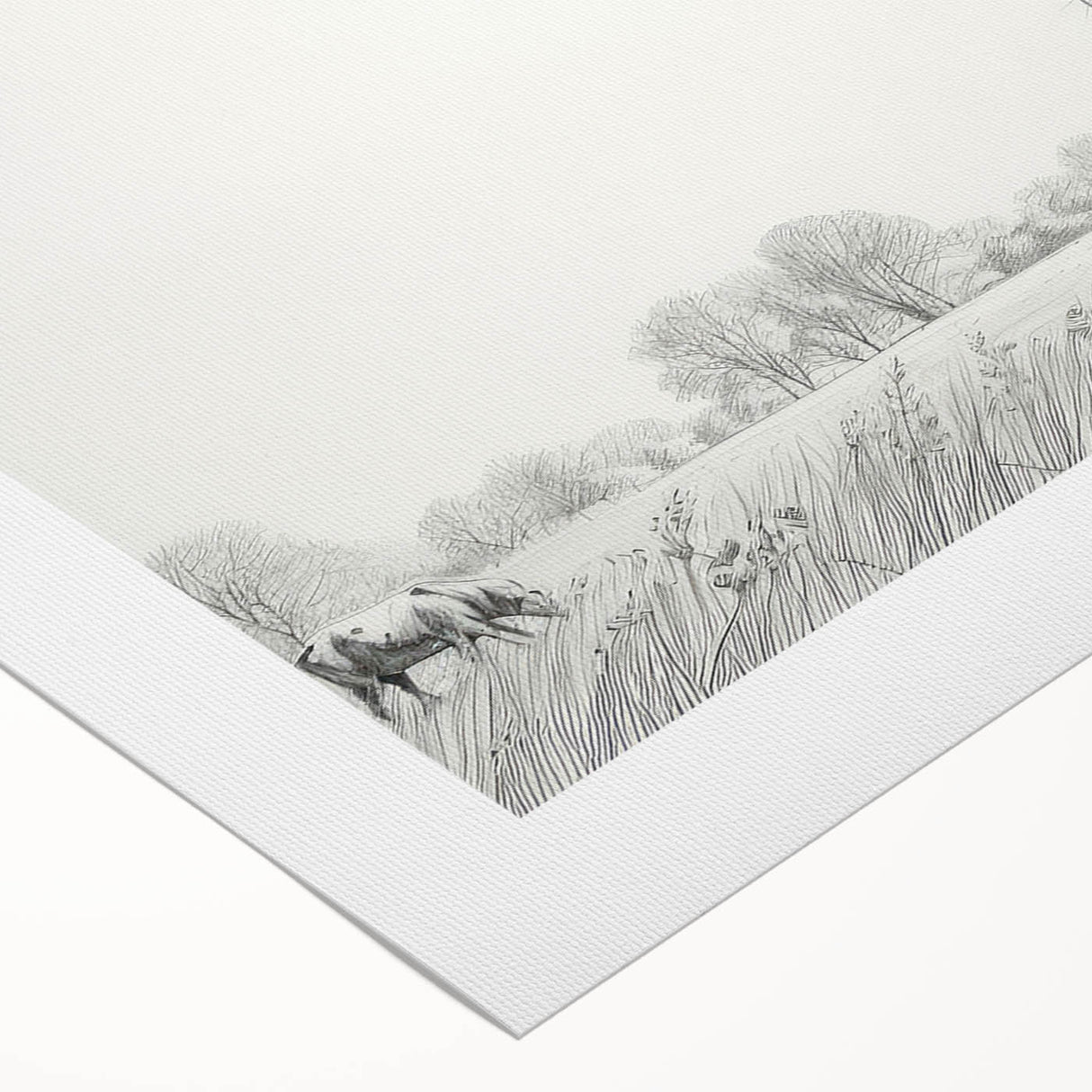 Artistic rolled canvas showcasing a vibrant cow design from the Animals A Wild Life collection, perfect for enhancing home decor with a nature-inspired theme.