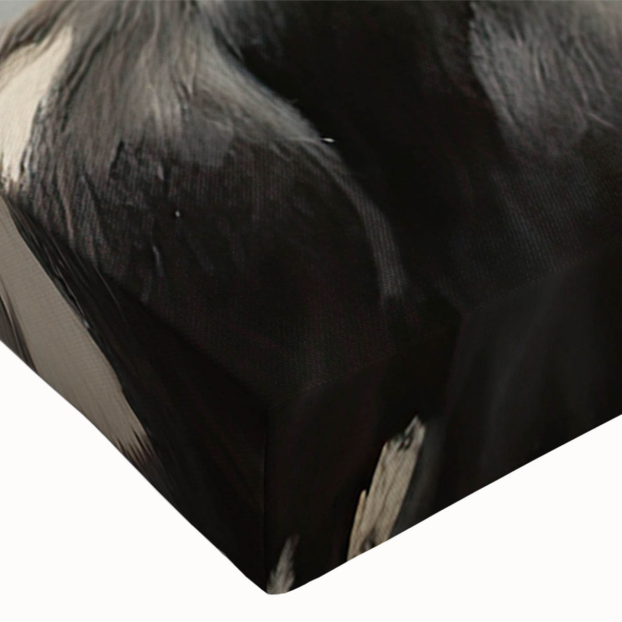 Close-up of a vibrant stretched canvas wall art featuring a detailed cow design, showcasing rich colors and textures, ideal for animal lovers and rustic decor.
