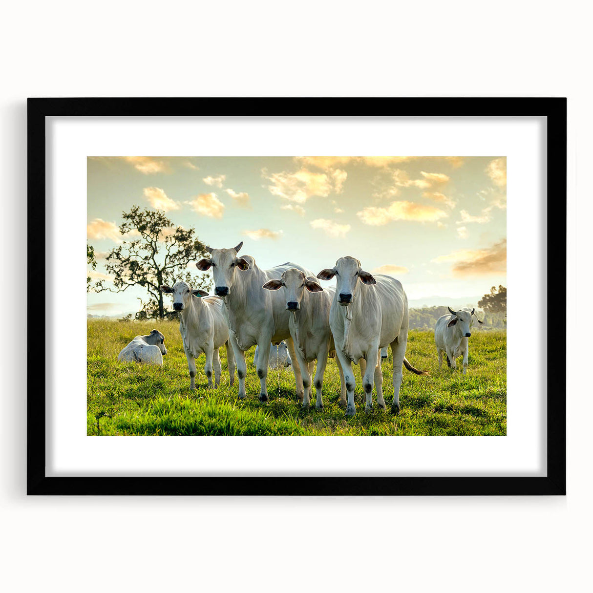 Framed wall art showcasing a stylized black and white cow design from the "Animals A Wild Life" collection, set against a minimalist mat background, perfect for modern decor.