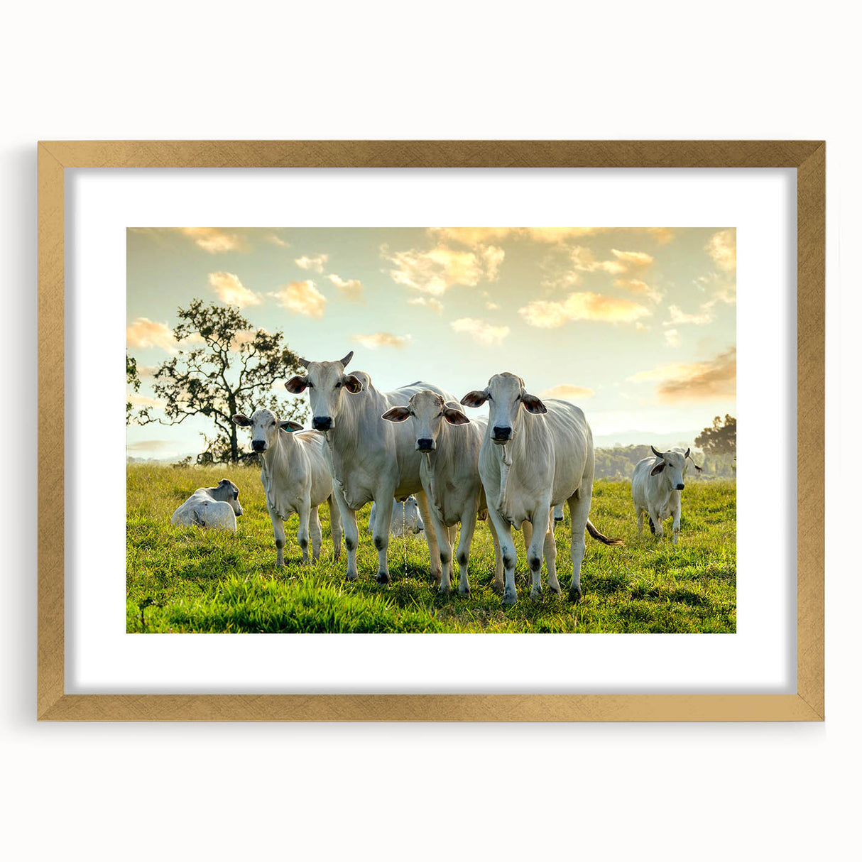 Framed wall art featuring a striking cow design from the "Animals A Wild Life" collection, with a gold mat and sleek frame, perfect for enhancing modern decor.