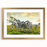 Framed wall art featuring a striking cow design from the "Animals A Wild Life" collection, with a gold mat and sleek frame, perfect for enhancing modern decor.