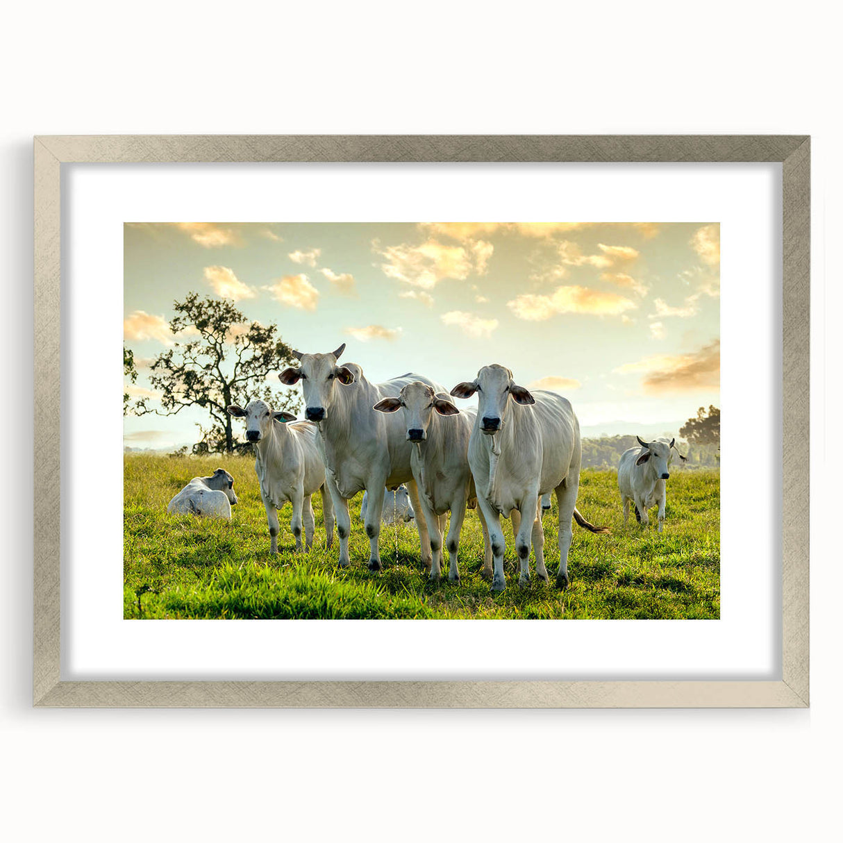 Framed wall art collection featuring a silver mat border and a striking cow design, perfect for animal lovers and rustic home decor, displayed against a neutral background.