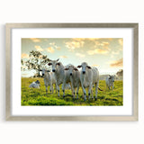 Framed wall art collection featuring a silver mat border and a striking cow design, perfect for animal lovers and rustic home decor, displayed against a neutral background.