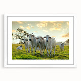 Framed wall art featuring a white mat and an artistic cow design, showcasing vibrant colors and intricate details, perfect for animal lovers' home decor.