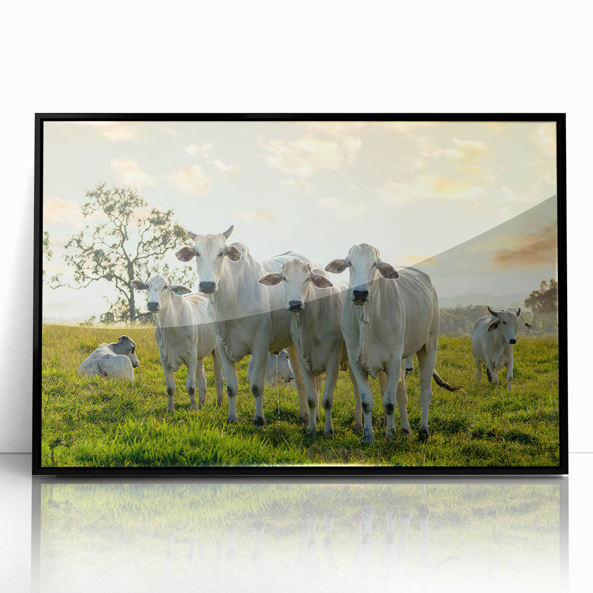 Framed wall art featuring a striking black cow design, set against a sleek acrylic background, perfect for modern home decor and animal lovers.