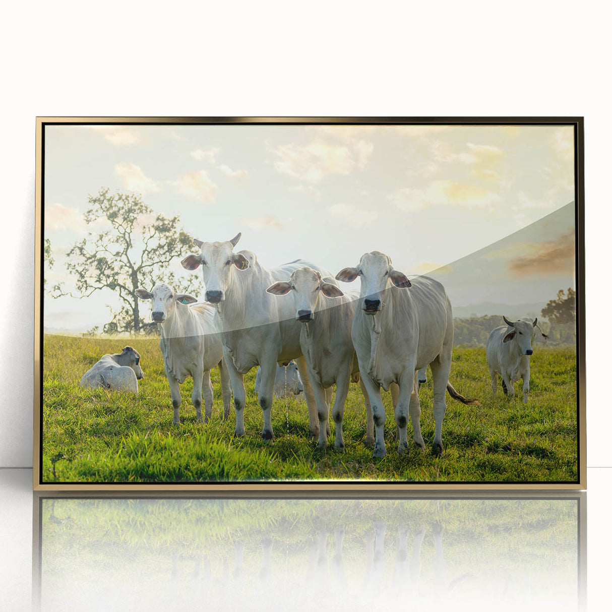 Framed acrylic wall art featuring a vibrant cow design from the "Animals of the Wild" collection, with a gold frame, adding an elegant touch to any decor.