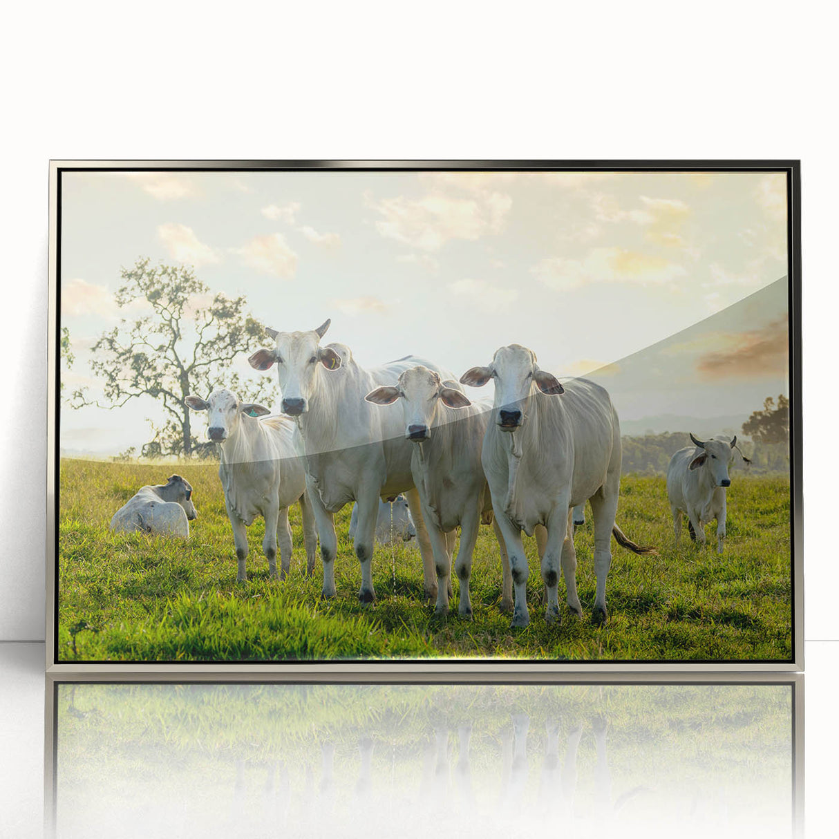 Framed acrylic wall art showcasing a detailed cow design in silver tones, perfect for animal lovers and modern home decor. Adds a unique touch to any space.