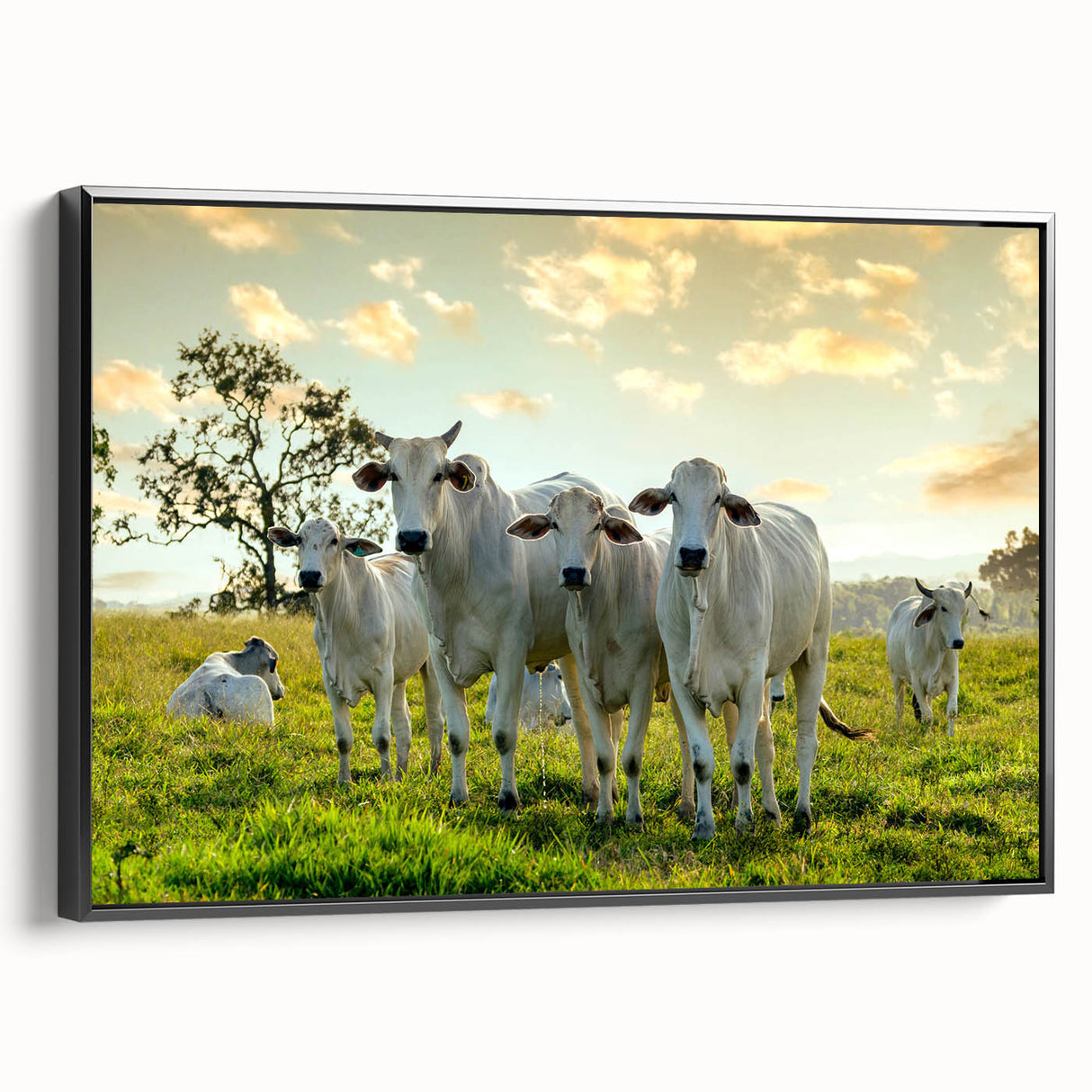 Framed canvas wall art featuring a black and white cow design, showcased in a side view. Ideal for modern farmhouse decor, adding a rustic touch to any space.