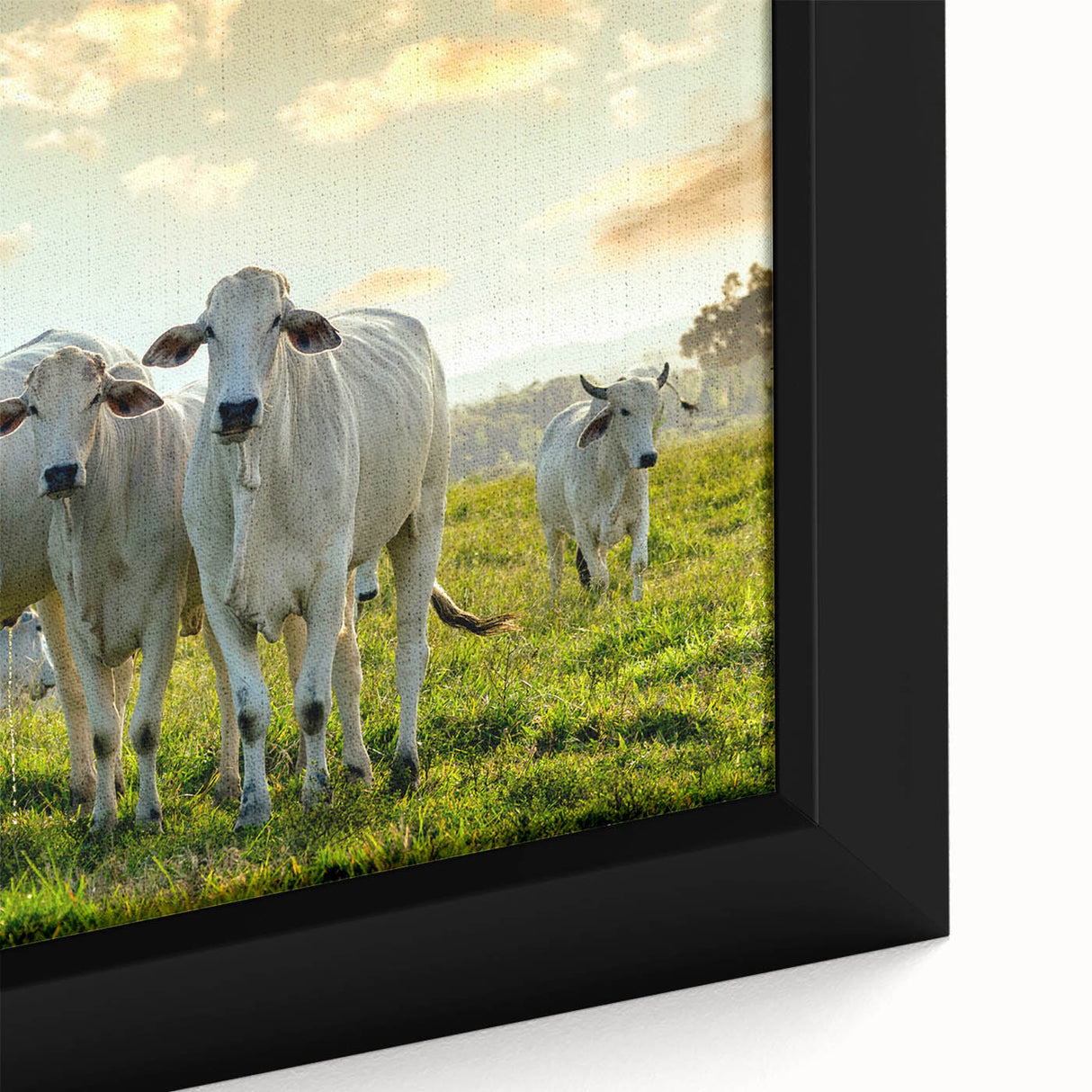 Close-up of a framed canvas featuring a vibrant cow design, showcasing intricate details in the artwork. Ideal for animal lovers and rustic decor enthusiasts.