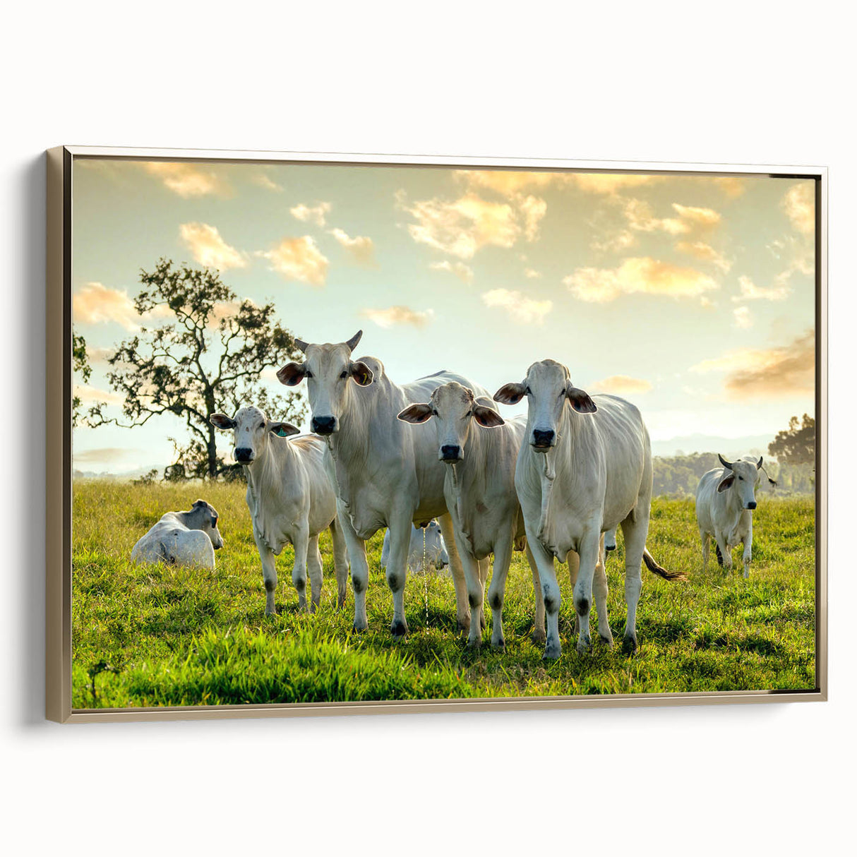 Framed canvas wall art showcasing a striking cow design in a wild animal theme, featuring a gold frame and side view, perfect for enhancing modern home décor.
