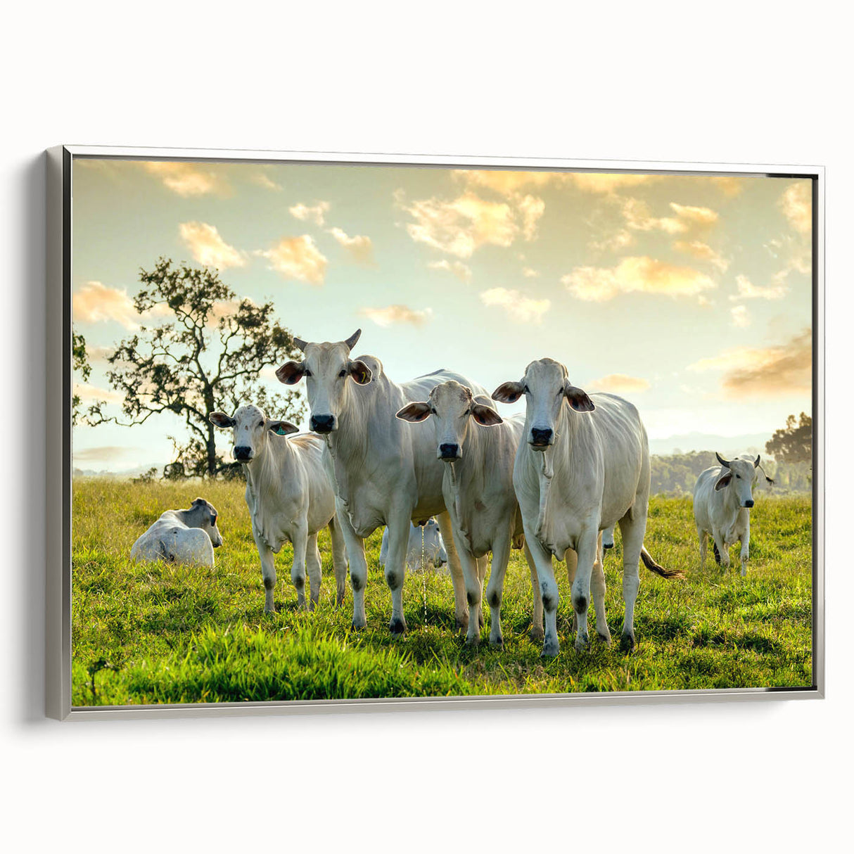 Framed wall art featuring a silver side view of a cow design, showcasing intricate details and vibrant colors, perfect for animal lovers and home decor enthusiasts.