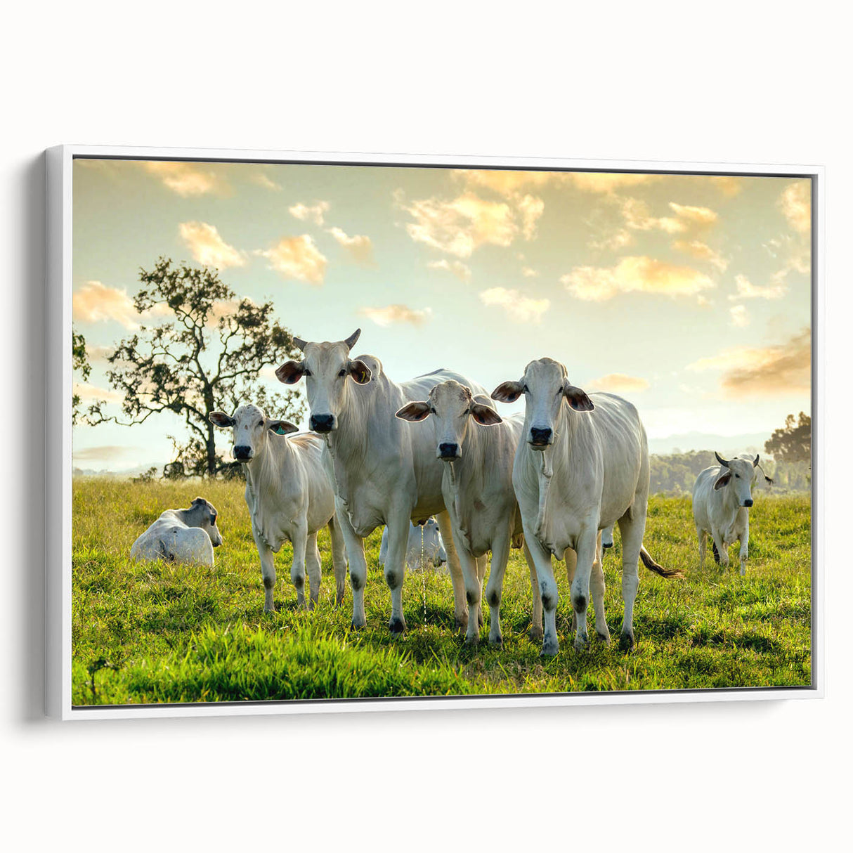 Framed wall art featuring a contemporary cow design in a minimalist style, showcasing a white background and vibrant colors, perfect for modern home decor.