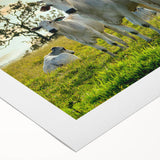 Colorful rolled canvas showcasing an artistic depiction of cows in a wild setting, perfect for animal lovers and home decor enthusiasts. Ideal for enhancing living spaces with nature-inspired art.