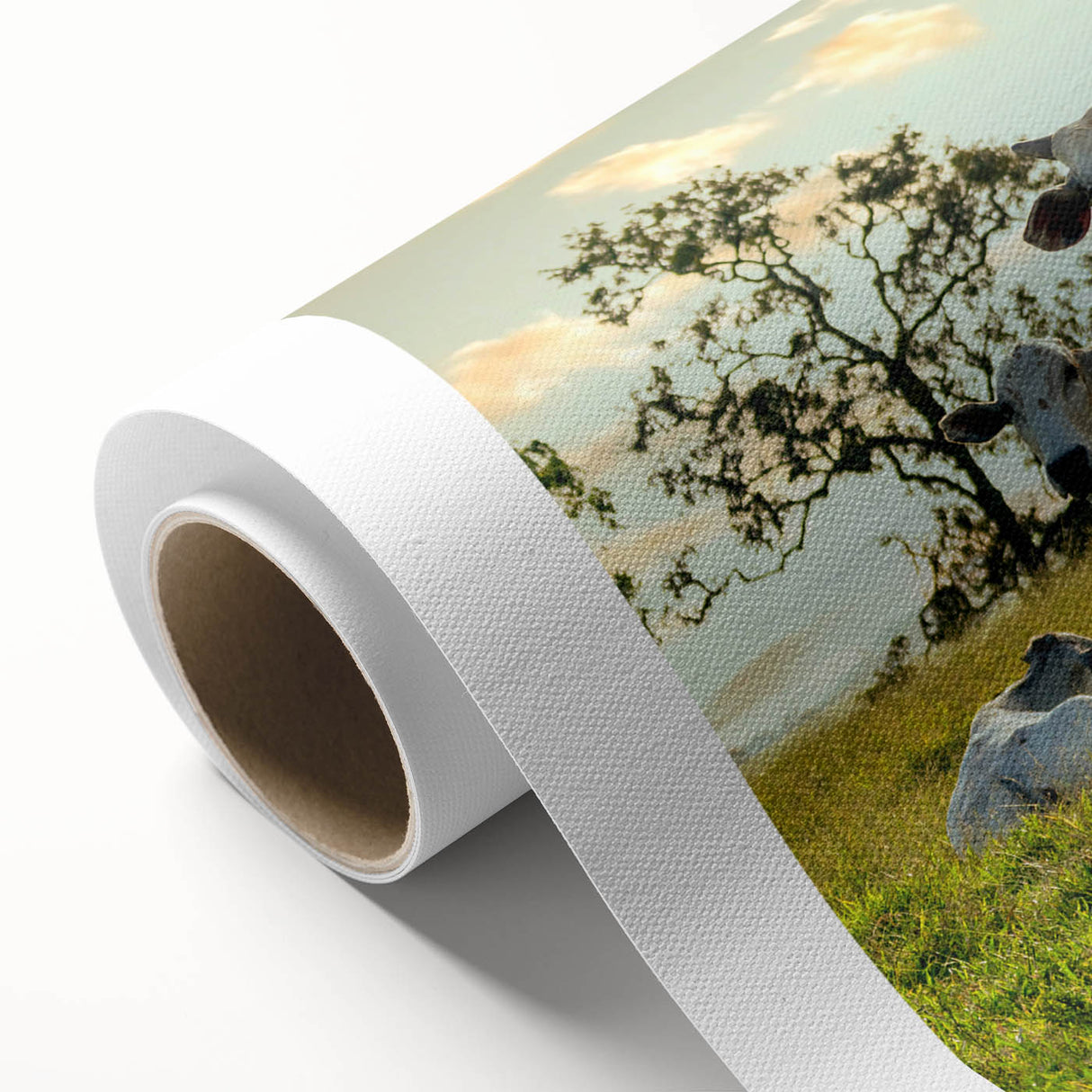 Vibrant rolled canvas artwork showcasing a stylized cow design, ideal for animal lovers and modern decor, featuring rich colors and intricate details. Perfect for adding a unique touch to home or office spaces.