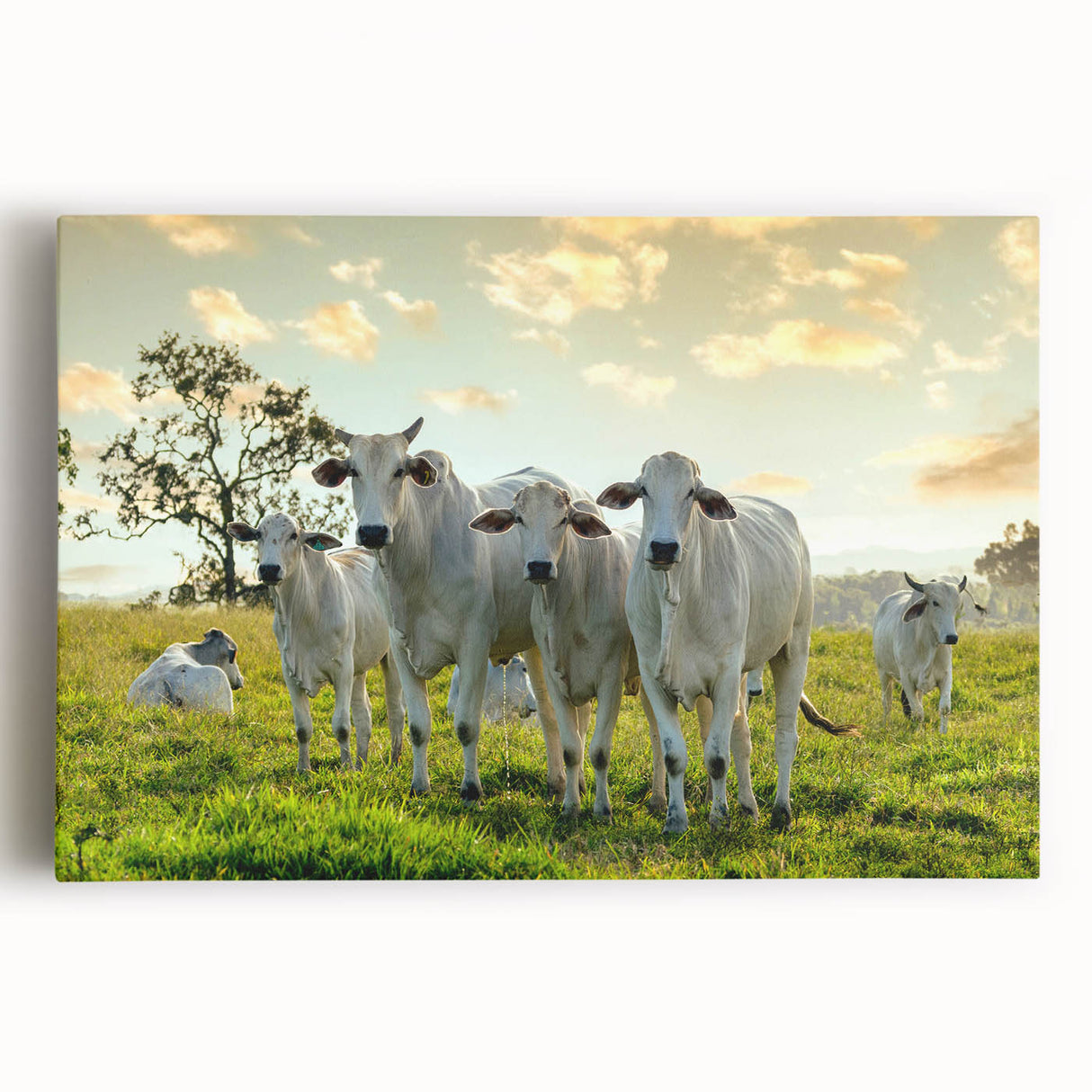 Vibrant cow-themed canvas wall art featuring a detailed illustration of a cow in a natural setting, perfect for animal lovers and home decor enthusiasts.
