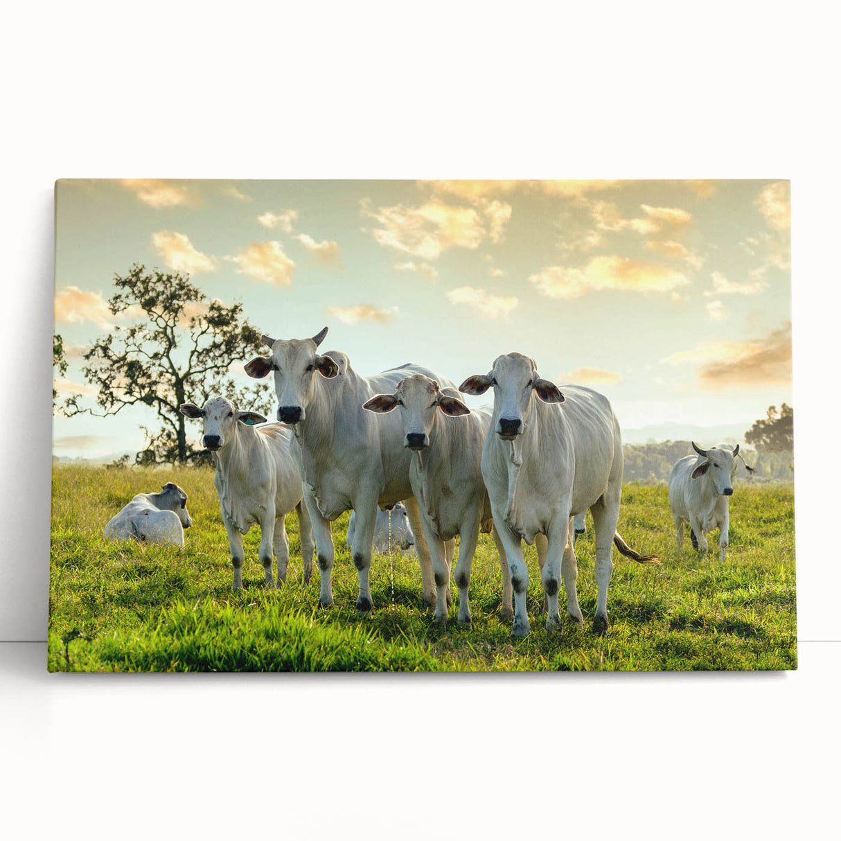 Stretched canvas wall art featuring a vibrant cow design, showcasing intricate details and bold colors, perfect for adding a rustic touch to home decor.