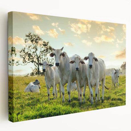 Stretched canvas wall art showcasing a detailed cow design in a vibrant, colorful style, perfect for animal lovers and rustic home decor.