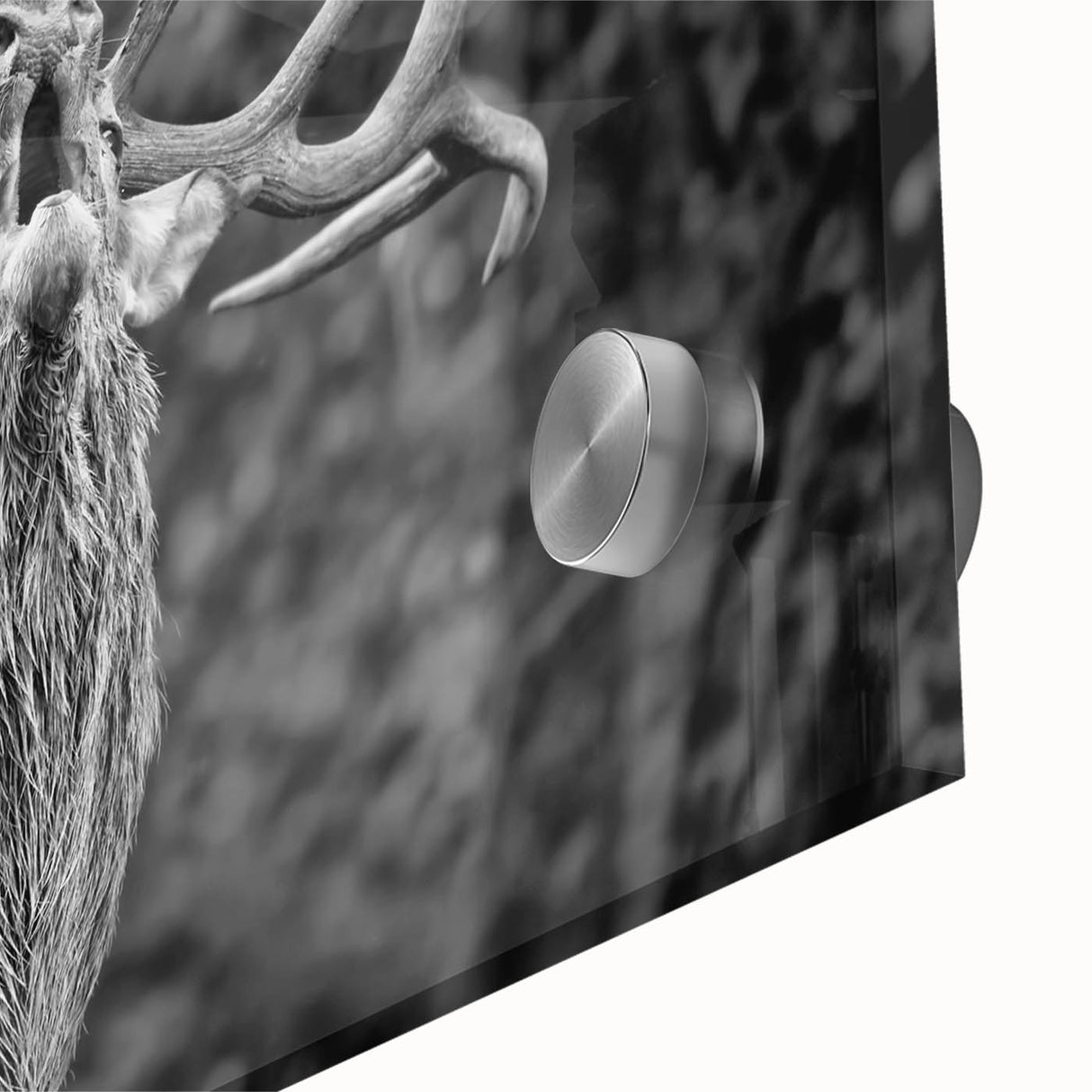 Close-up of a stunning acrylic glass wall art piece featuring a detailed design of a deer in a wild landscape, showcasing rich colors and intricate textures, perfect for nature lovers and home decor enthusiasts.