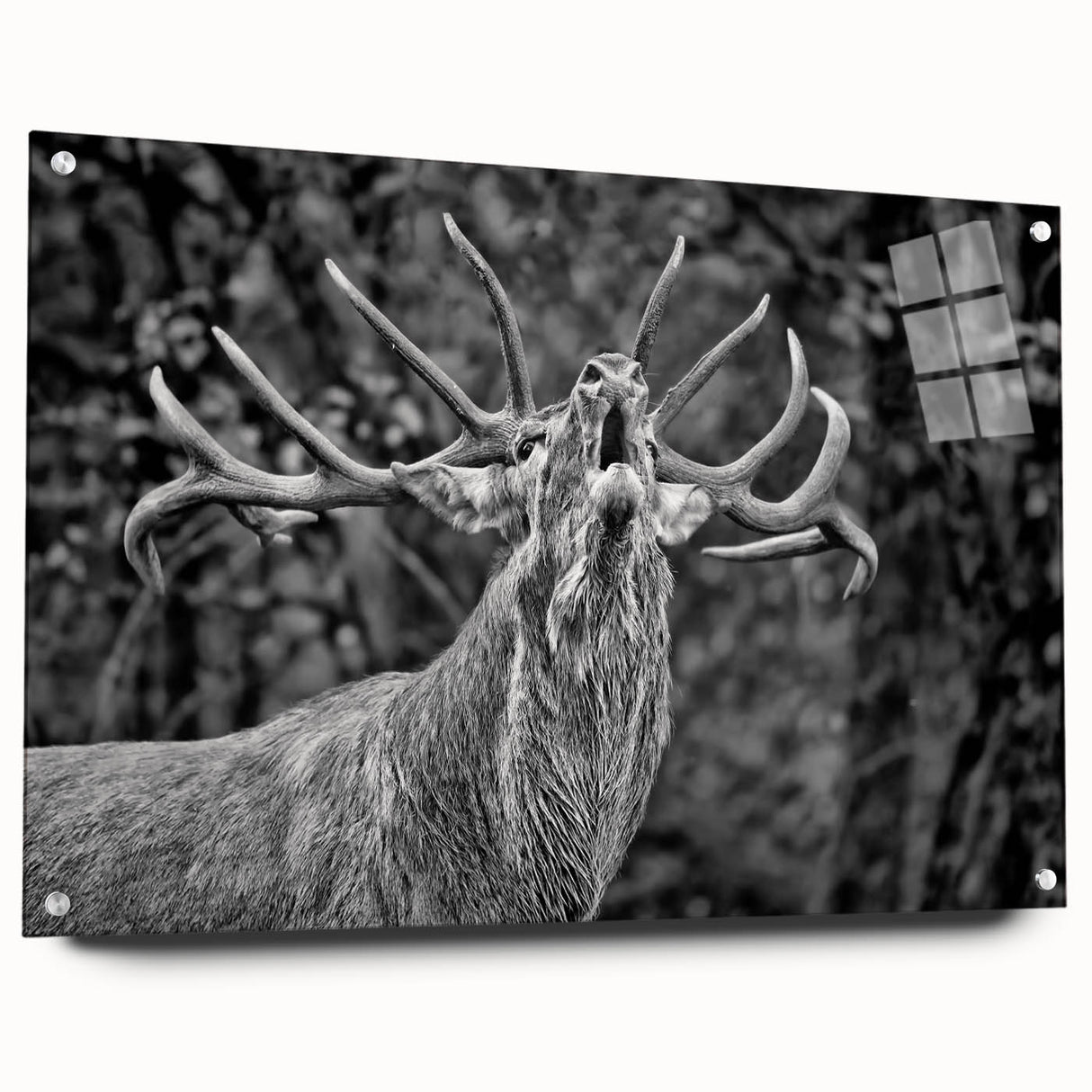 Side view of a deer wall art piece displayed in acrylic glass, showcasing intricate wildlife design with vivid colors and stylish pins for mounting. This artwork adds a touch of nature to any space, perfect for animal lovers and home decor enthusiasts.