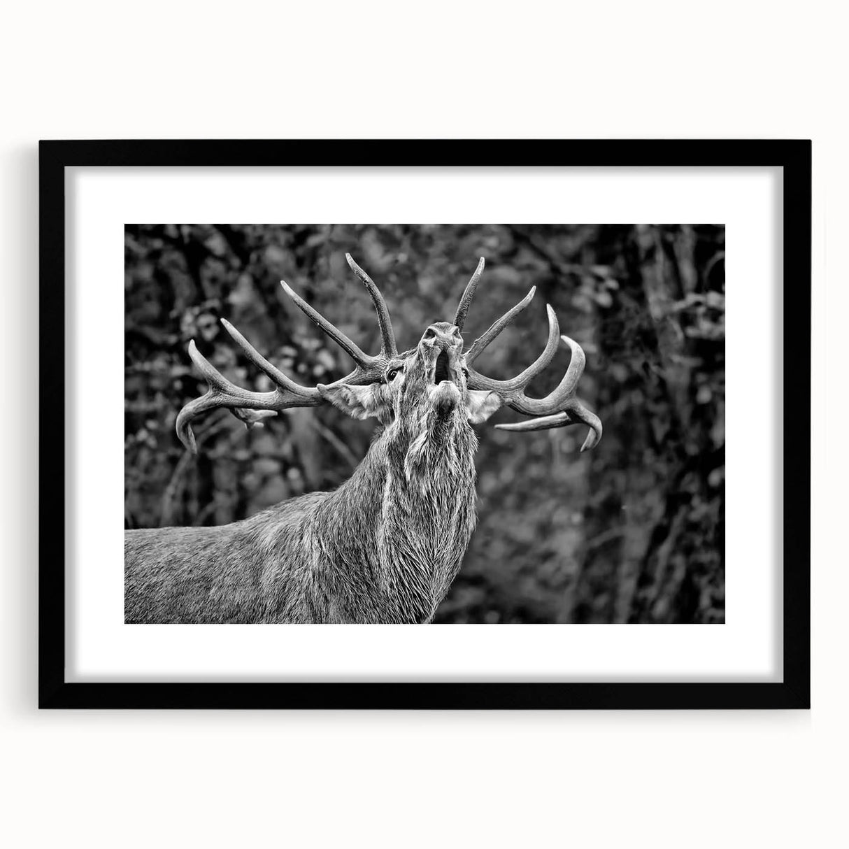 Framed wall art showcasing a majestic deer design, featuring a black mat and sleek frame, ideal for enhancing home decor with a touch of wildlife elegance.