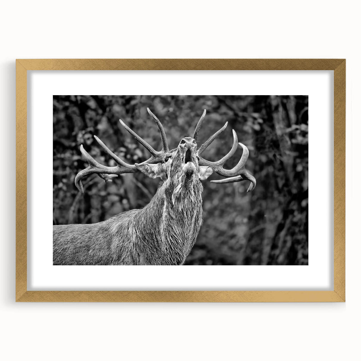 Framed wall art depicting a majestic deer design with a gold frame and mat, showcasing intricate details and natural colors, perfect for wildlife enthusiasts.