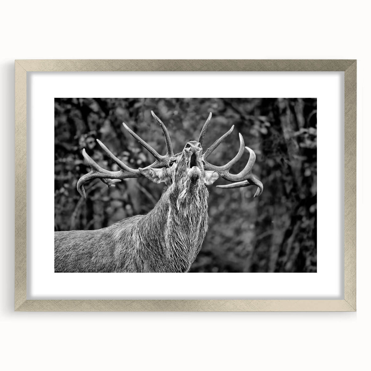 Framed wall art showcasing a majestic deer design in a silver frame with a mat, perfect for nature-themed decor, adding elegance to any space.