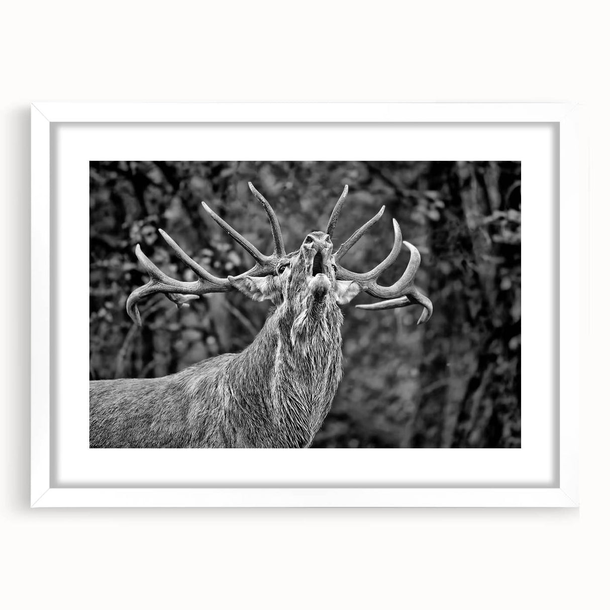 Framed wall art featuring a majestic deer design in a minimalist style, displayed with a white mat, enhancing a nature-themed decor for wildlife enthusiasts.