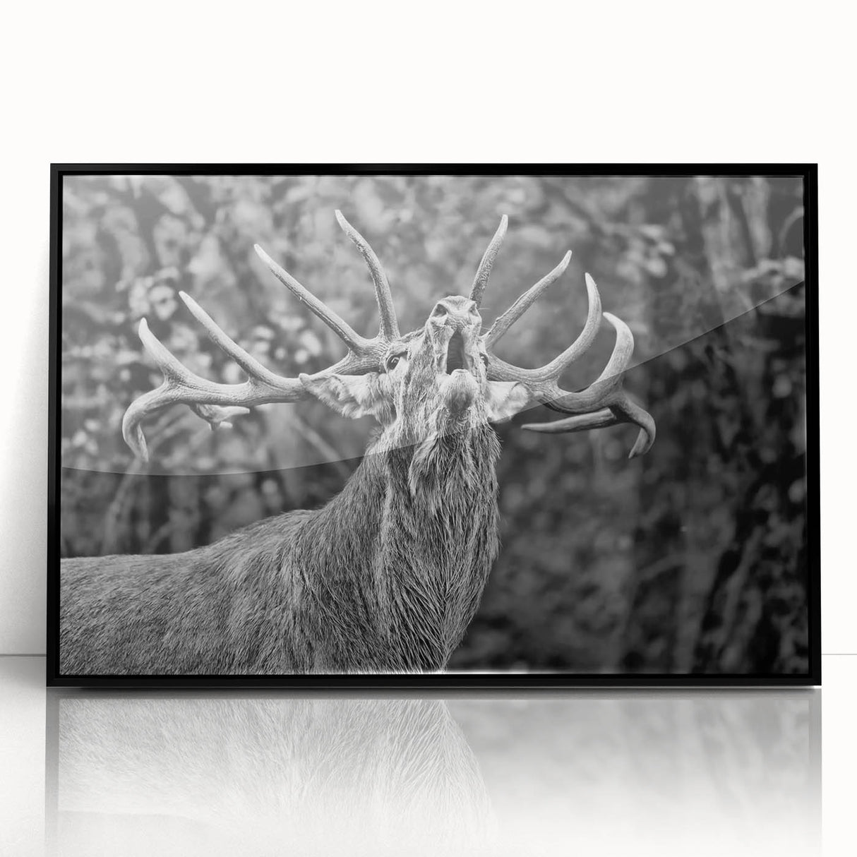Framed wall art featuring a stunning black acrylic design of a deer in a wild setting, perfect for animal lovers and nature enthusiasts, showcasing elegant details and modern decor style.