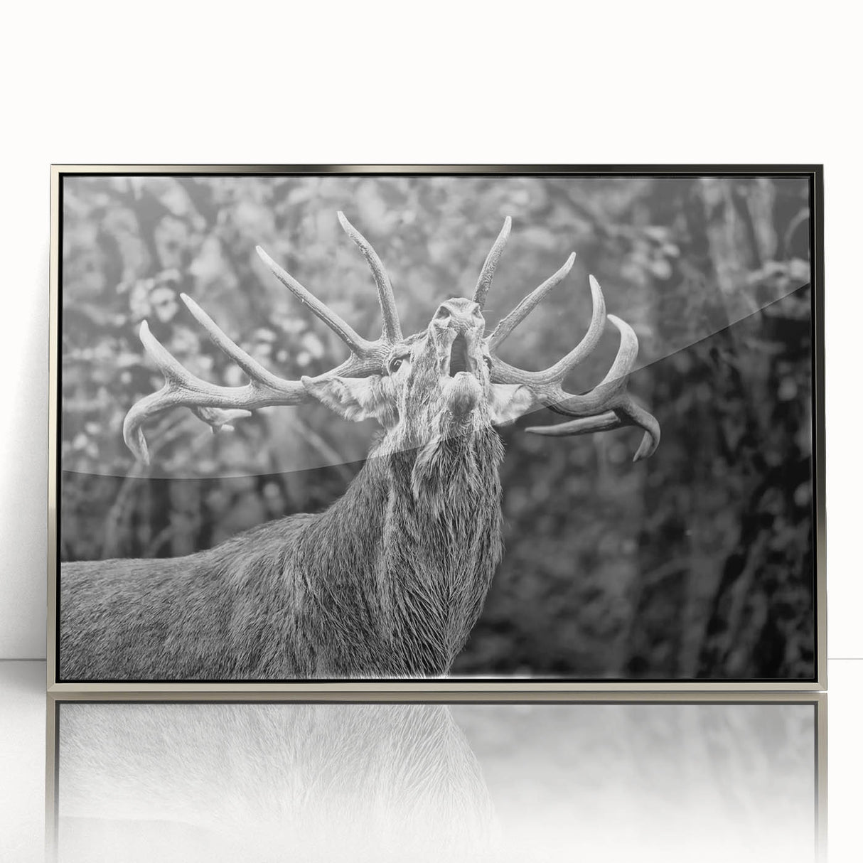 Framed wall art featuring a majestic deer design with a silver acrylic front, showcasing intricate details and natural colors, perfect for wildlife decor enthusiasts.