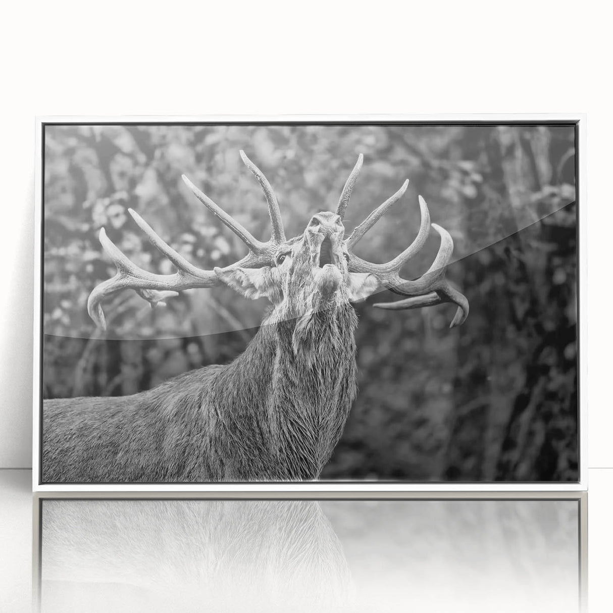 Framed wall art featuring a serene deer design set against a white background, showcasing intricate details and vibrant colors, perfect for nature lovers' decor.
