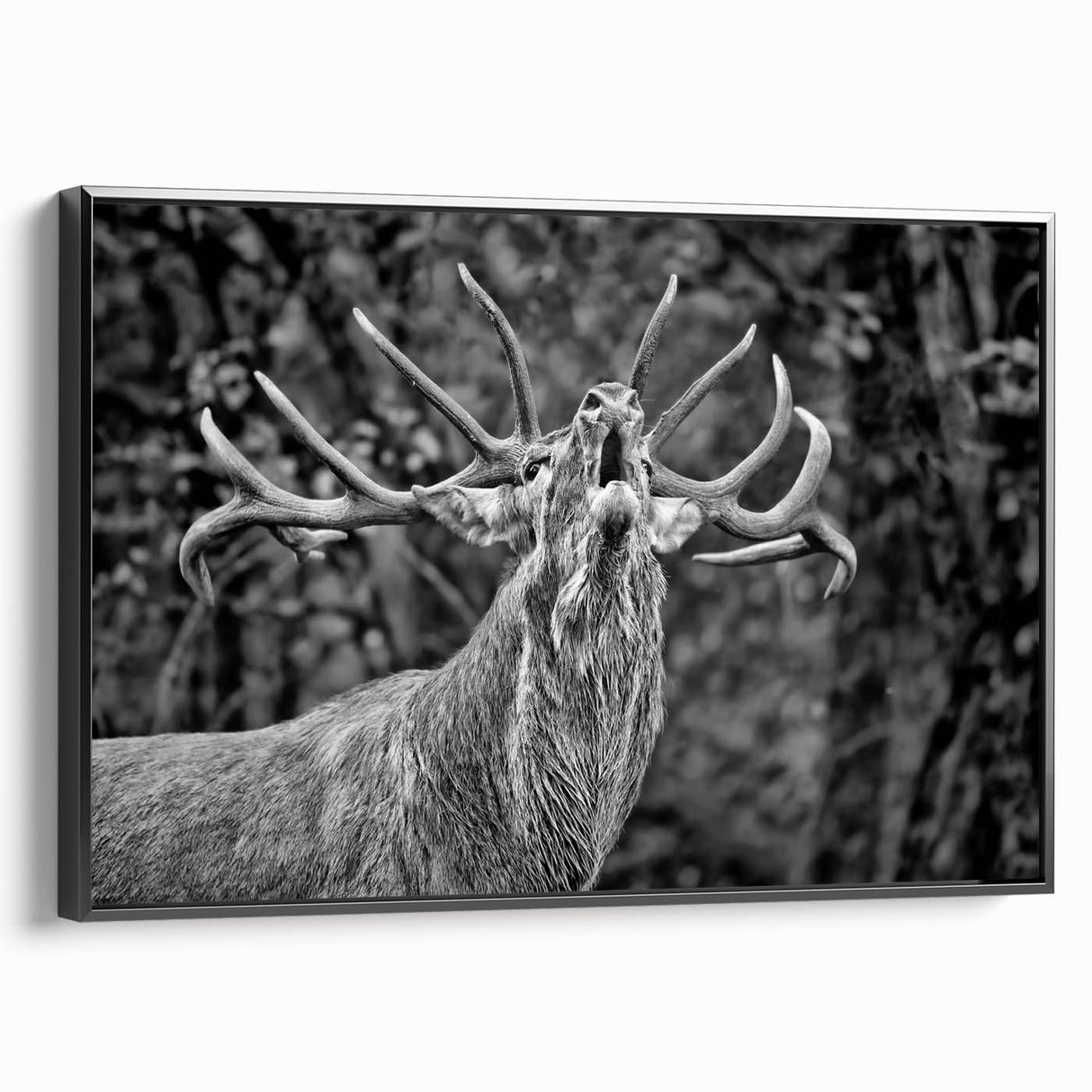 Framed wall art featuring a majestic deer design, showcasing intricate details in a black frame, perfect for nature-inspired home décor.