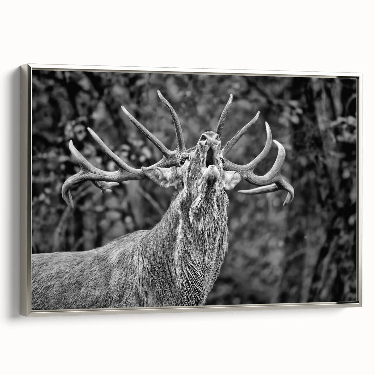Framed wall art featuring a silver side view of a majestic deer in a natural setting, perfect for adding a touch of wildlife elegance to home decor.