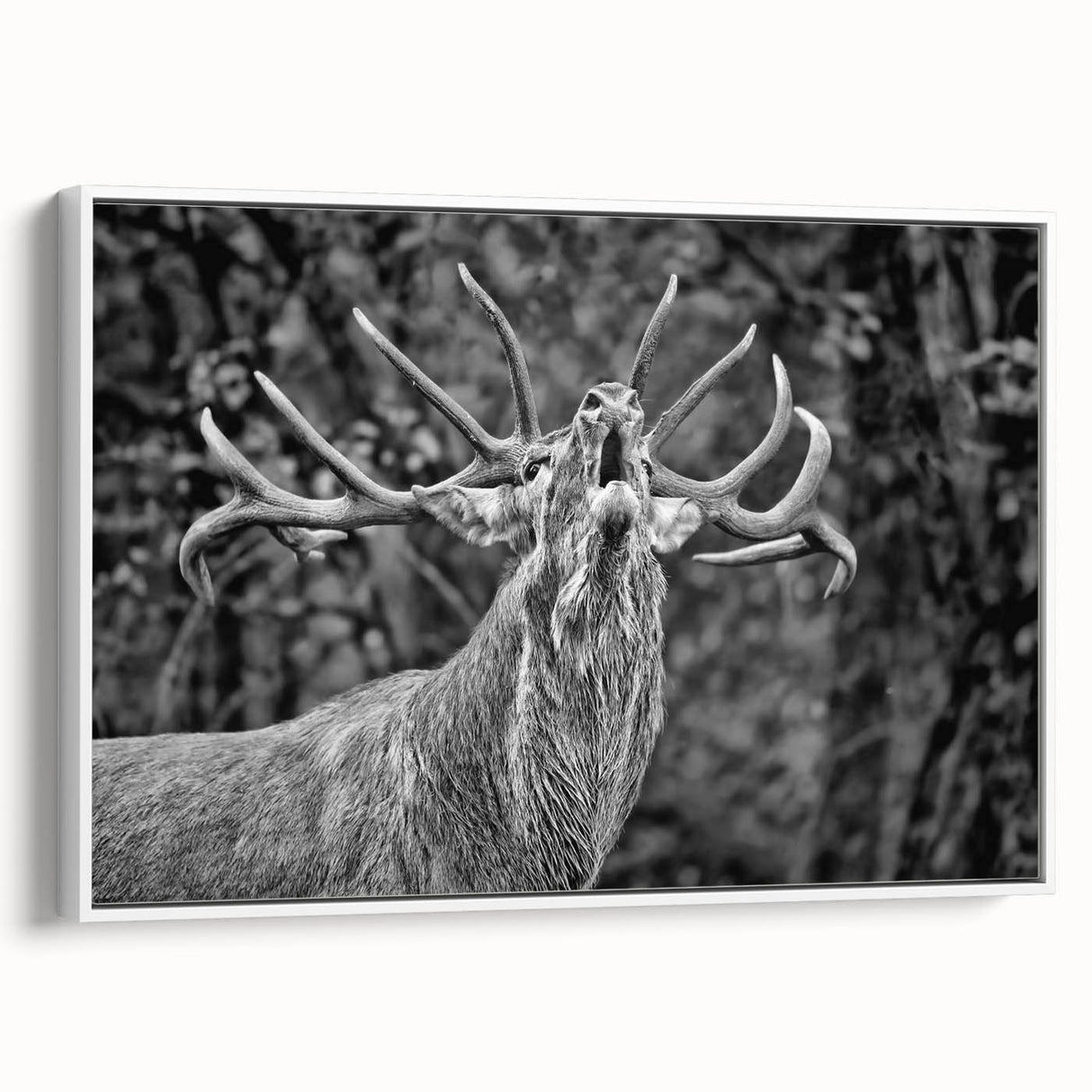 Framed canvas wall art showcasing a serene deer design, featuring soft earth tones and intricate details, perfect for nature-themed home decor.