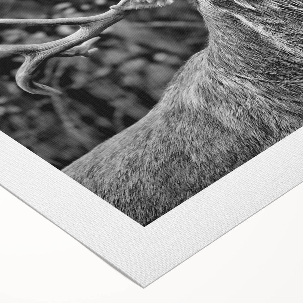 Rolled canvas artwork showcasing a serene deer design set against a soft, nature-inspired background, perfect for wildlife-themed home decor.