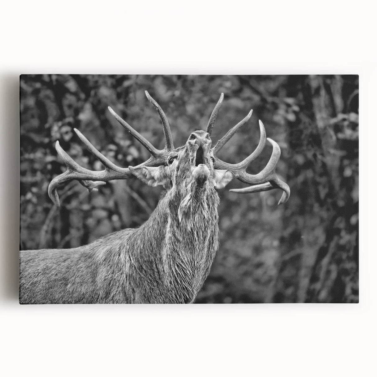 Stretched canvas wall art featuring a majestic deer in a tranquil forest setting, showcasing rich colors and intricate details, perfect for nature lovers.