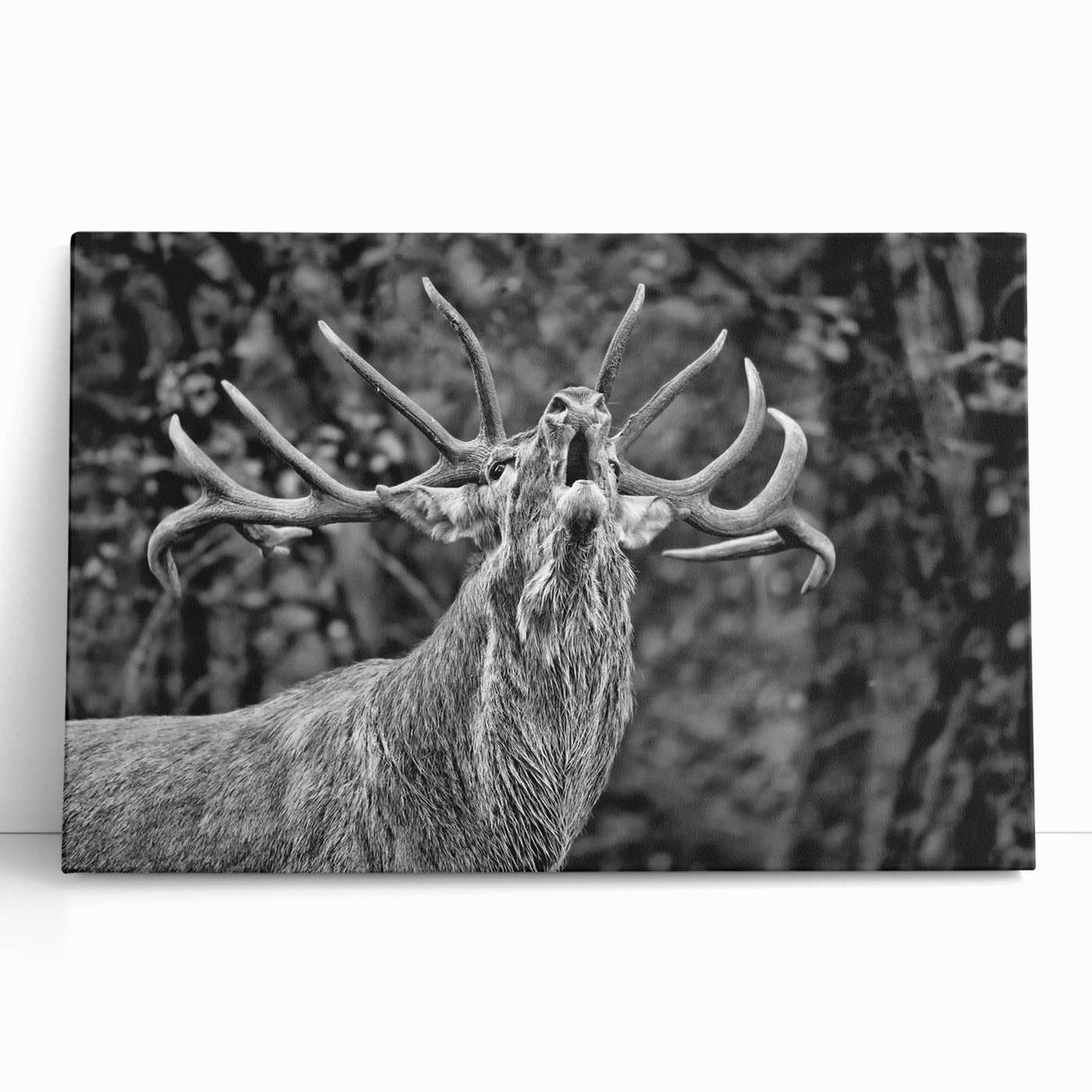 Stretched canvas wall art featuring a serene deer design in a forest setting, showcasing earthy tones and intricate details, perfect for nature-themed decor.