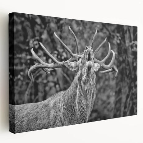 Stretched canvas wall art showcasing a serene deer design in a forest setting, featuring rich colors and intricate detailing, perfect for nature enthusiasts.