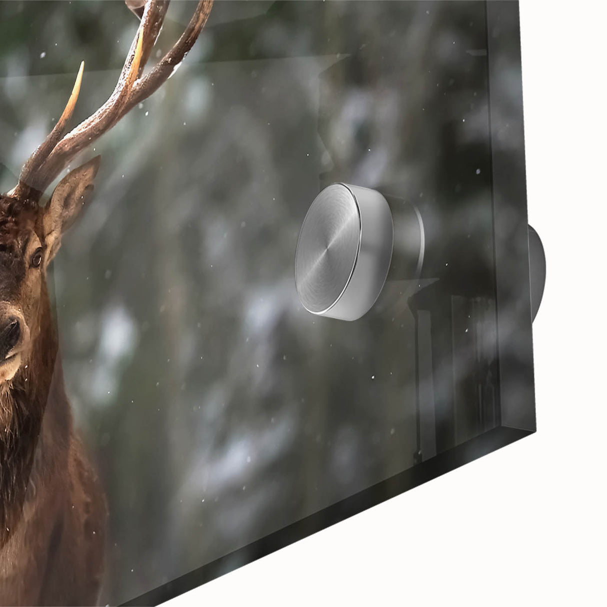 Close-up of a stunning acrylic glass wall art piece featuring a detailed deer design in a wild landscape, showcasing rich colors and intricate textures ideal for nature lovers.