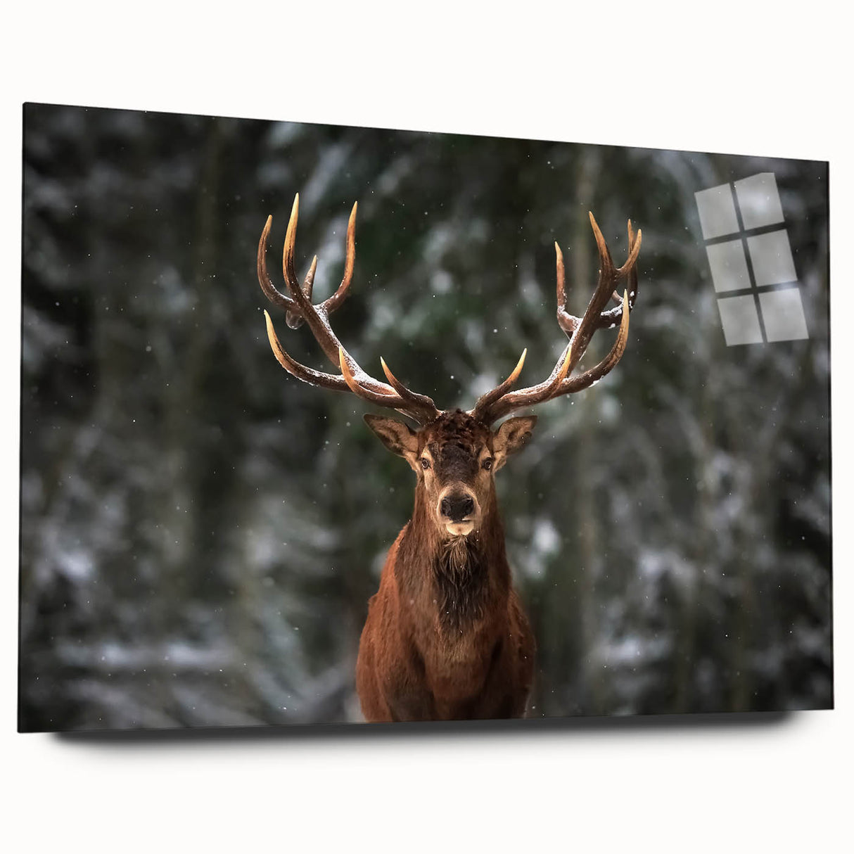 Elegant wall art featuring a side view of a deer design in a modern acrylic frame, showcasing realistic details and vibrant colors, perfect for wildlife enthusiasts.