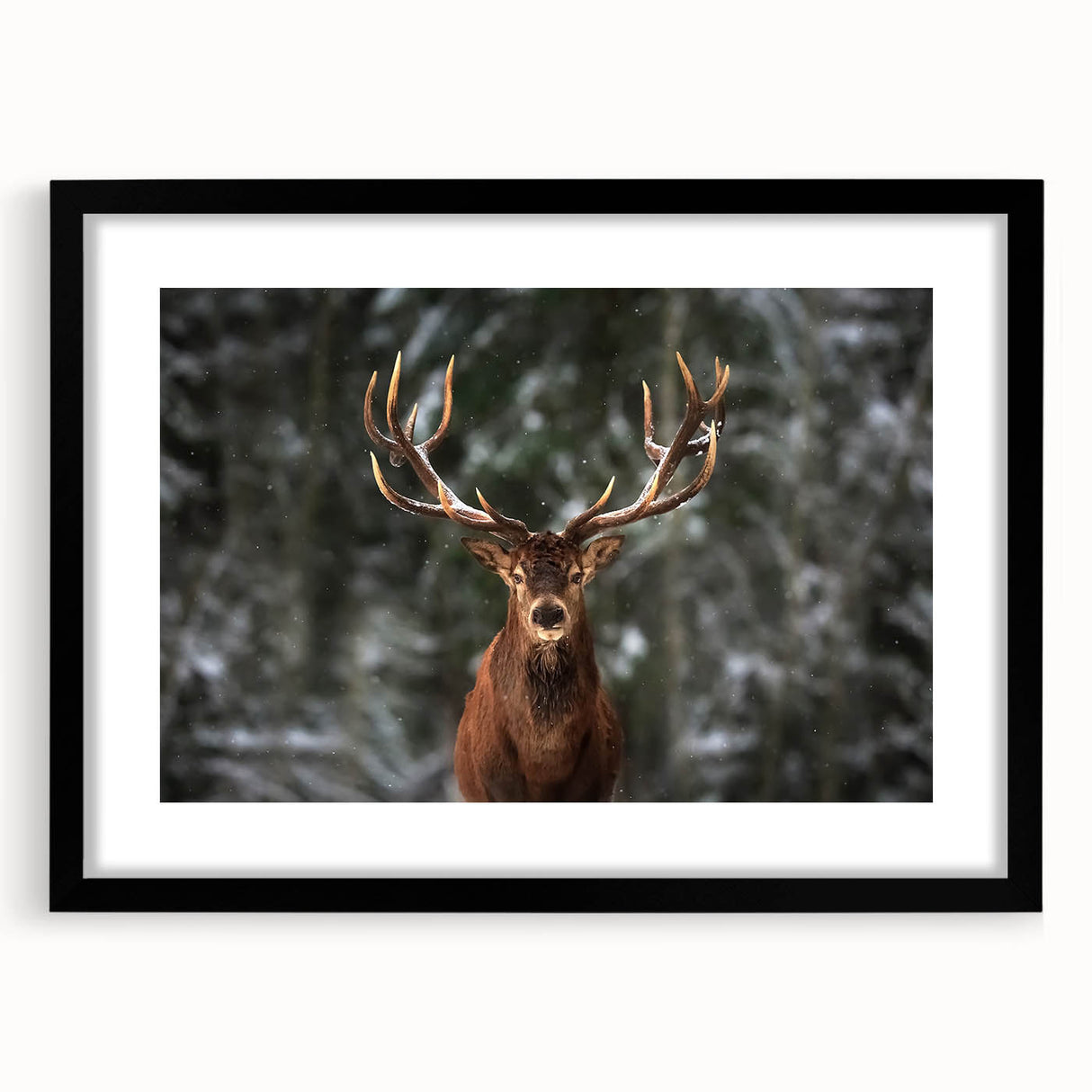 Framed wall art featuring a majestic deer design, set against a black mat, showcasing intricate details of wildlife in a modern home decor style. Perfect for nature lovers and animal enthusiasts.