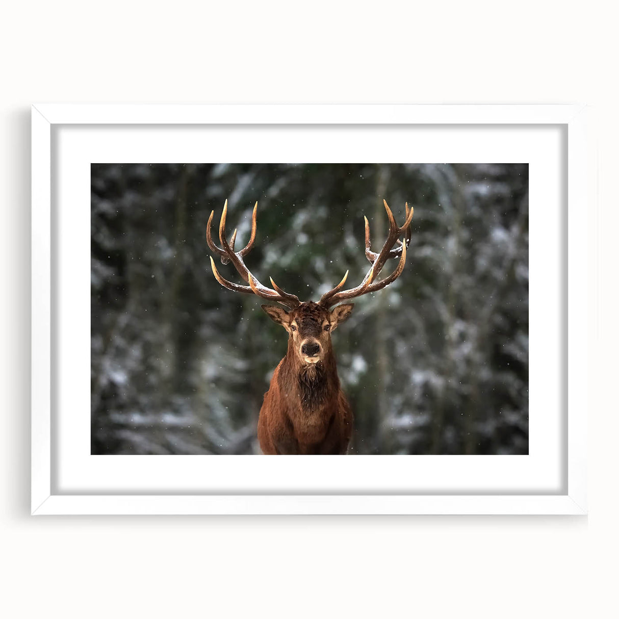 Framed wall art collection showcasing a detailed deer design in a white mat, perfect for nature enthusiasts seeking elegant home decor.