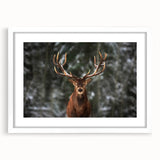 Framed wall art collection showcasing a detailed deer design in a white mat, perfect for nature enthusiasts seeking elegant home decor.