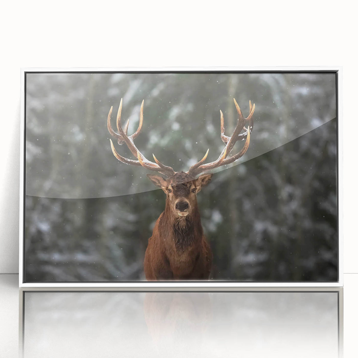 Framed wall art showcasing a stunning deer design, featuring vibrant colors and intricate details, set against a white background for a modern aesthetic. Perfect for nature and wildlife decor enthusiasts.