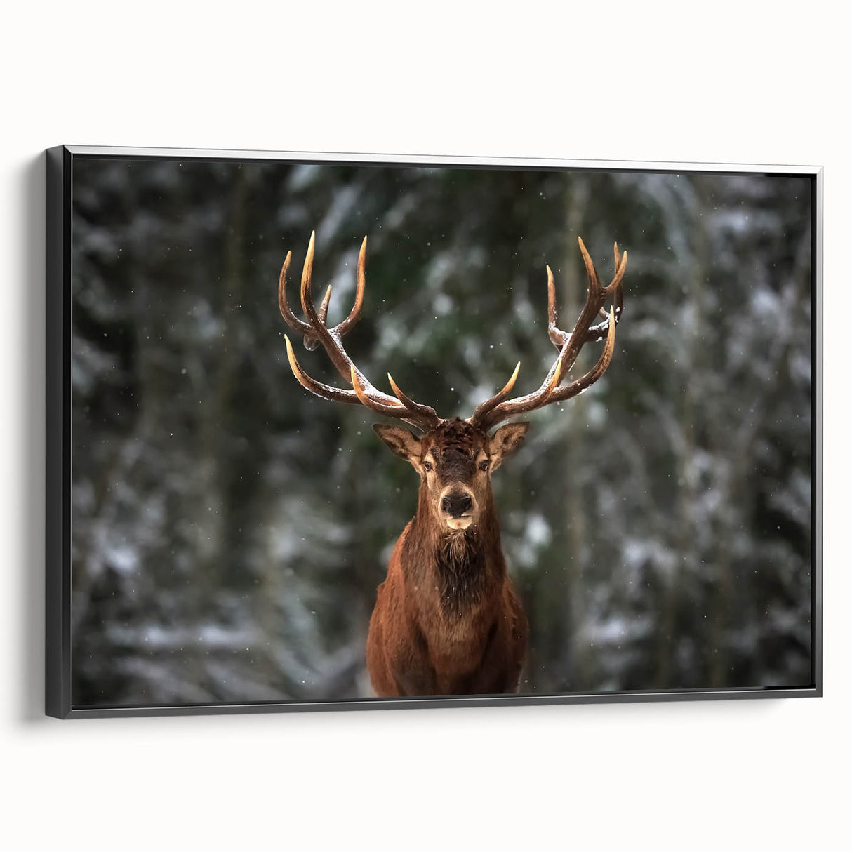 Framed canvas artwork showcasing a sleek black side view of a deer design, perfect for wildlife enthusiasts and modern home decor. This piece adds elegance and nature-inspired charm to any interior space.