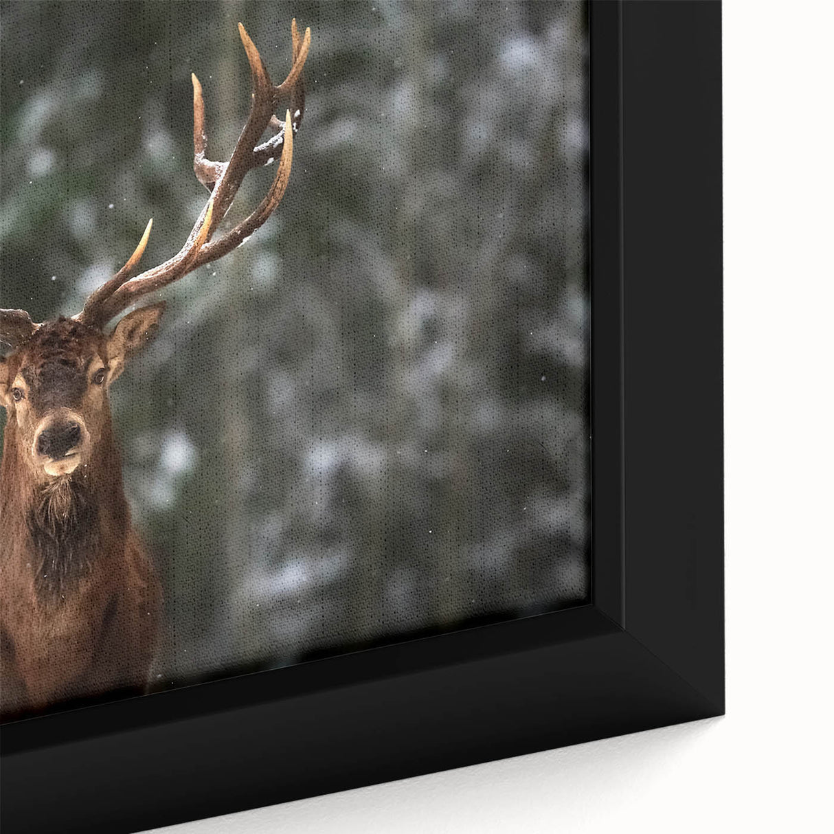 Close-up of a beautifully framed canvas wall art depicting a serene deer in a wild landscape, showcasing intricate details and rich colors that enhance any room decor.